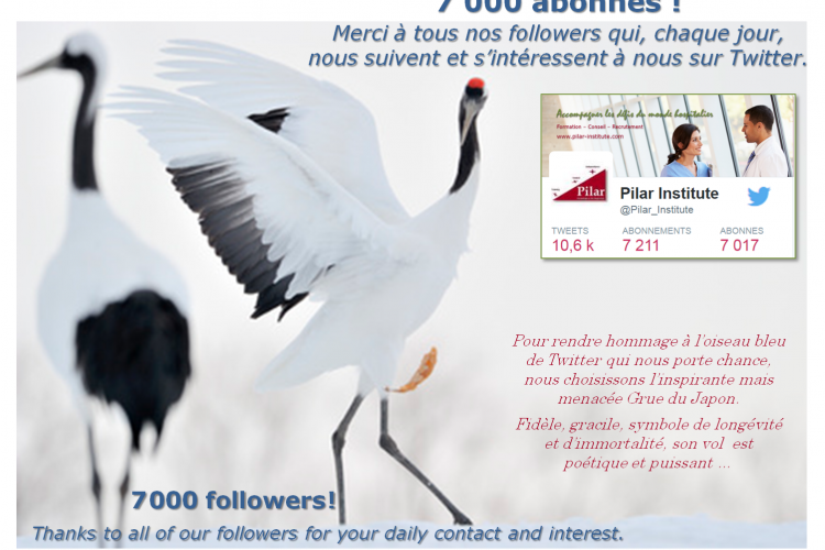 7 000 abonnés sur Twitter !