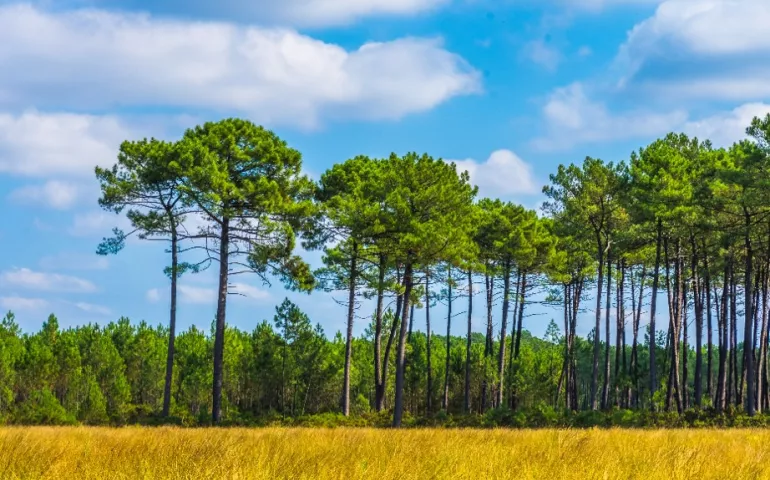 "Que faire pour avancer son RTC 2022 ? " : un mur virtuel ouvert à toutes et tous